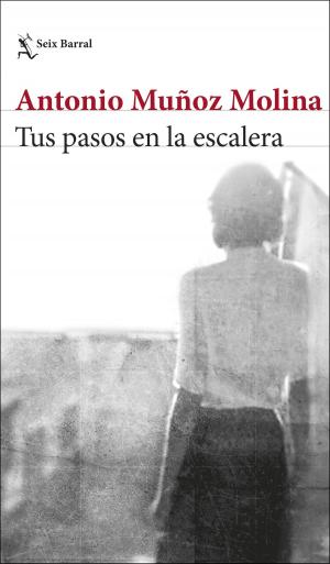 Cover of the book Tus pasos en la escalera by Stephen Westaby