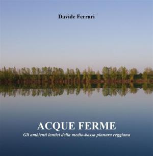 Cover of the book Acque ferme by Raffaella Riboni