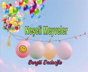 Cover of the book Neşeli MEYVELER by Bengül Dedeoğlu