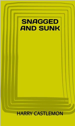 Cover of the book Snagged And Sunk by Anne Hoyt