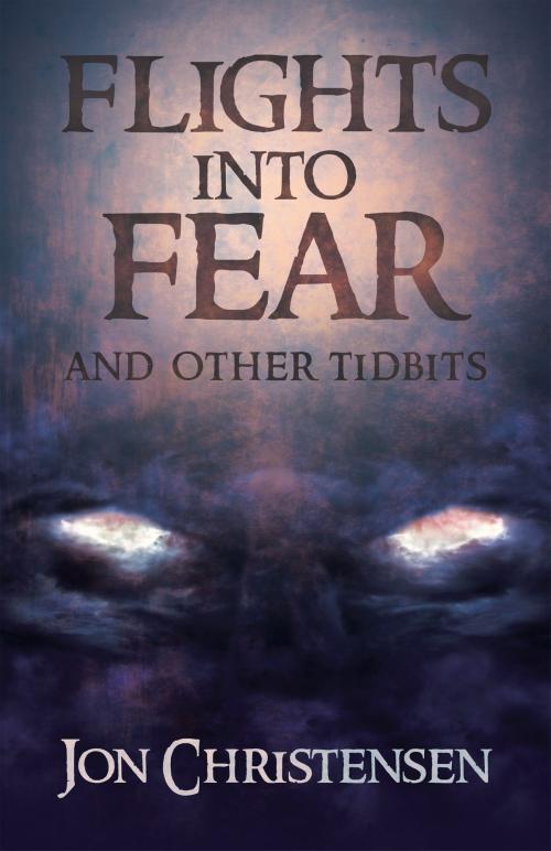 Cover of the book Flights Into Fear by Jon Christensen, Tellwell Talent