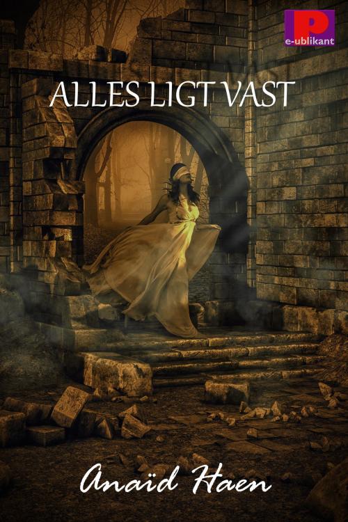 Cover of the book Alles ligt vast by Anaïd Haen, e-Publikant