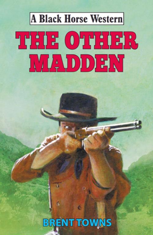 Cover of the book The Other Madden by Brent Towns, Robert Hale