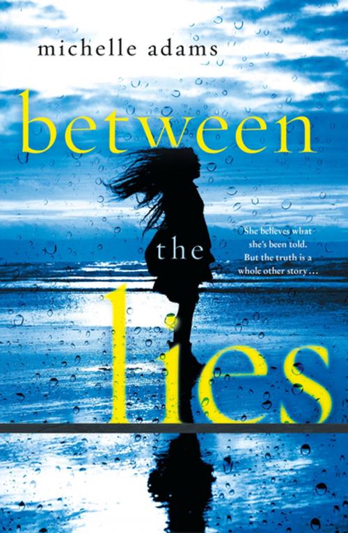 Cover of the book Between the Lies by Michelle Adams, St. Martin's Press