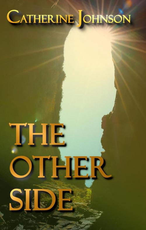 Cover of the book The Other Side by Catherine Johnson, Freak Circle Press