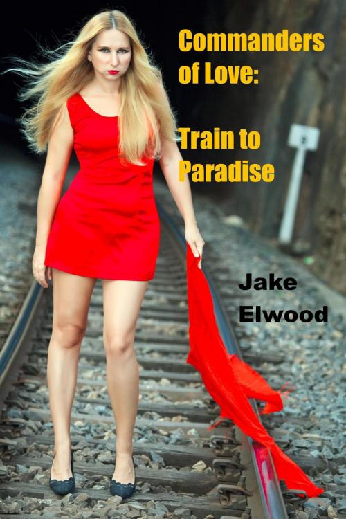 Cover of the book The Train to Paradise by Jake Elwood, Tall Tale Depot