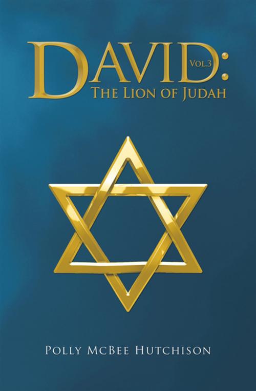 Cover of the book David by Polly McBee Hutchison, iUniverse