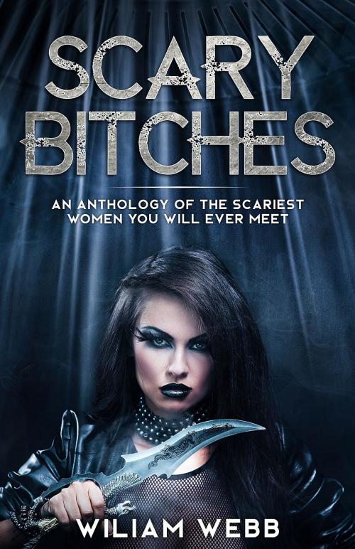 Cover of the book Scary Bitches by William Webb, Minute Help, Inc.