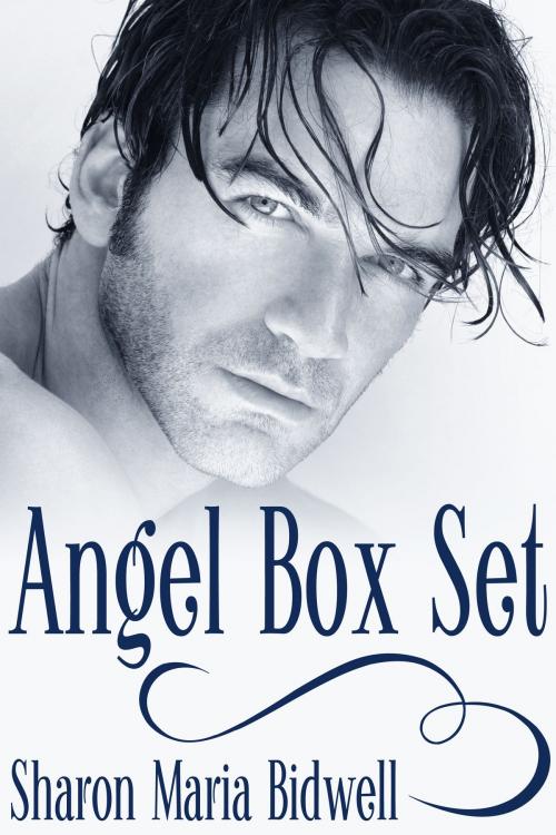 Cover of the book Angel Box Set by Sharon Maria Bidwell, JMS Books LLC