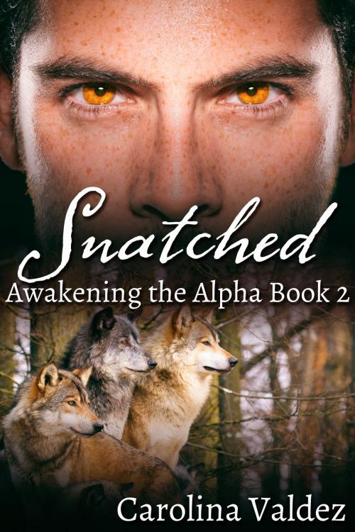 Cover of the book Snatched by Carolina Valdez, JMS Books LLC