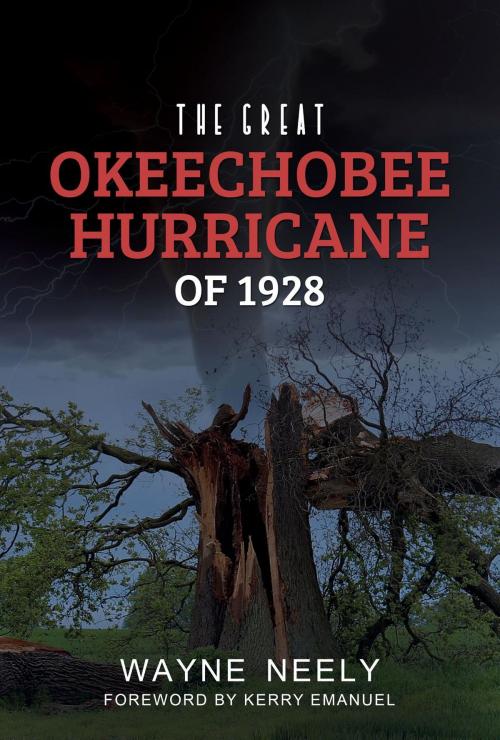 Cover of the book The Great Okeechobee Hurricane of 1928 by Wayne Neely, URLink Print & Media, LLC