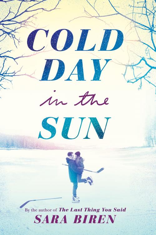 Cover of the book Cold Day in the Sun by Sara Biren, ABRAMS