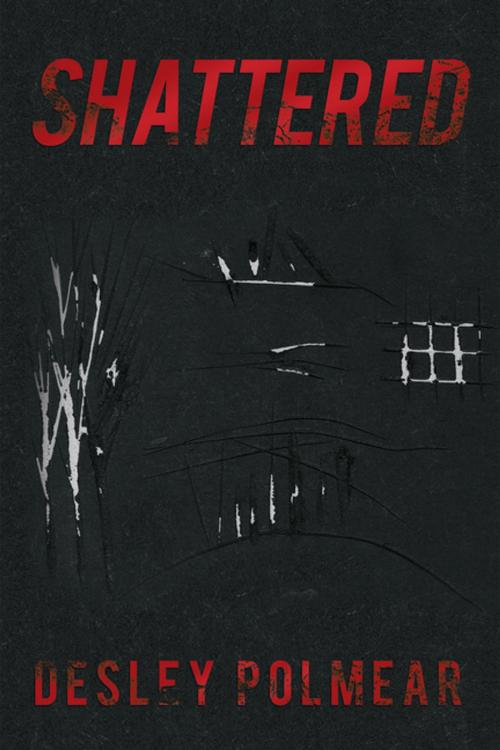 Cover of the book Shattered by Desley Polmear, Xlibris AU