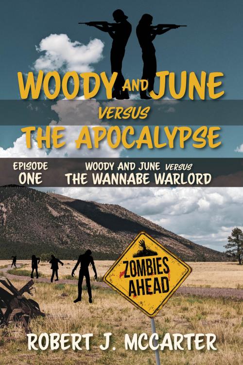 Cover of the book Woody and June versus the Wannabe Warlord by Robert J. McCarter, Little Hummingbird Publishing