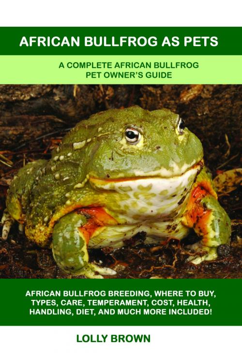 Cover of the book African Bullfrog as Pets by Lolly Brown, NRB Publishing