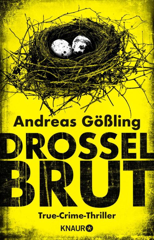 Cover of the book Drosselbrut by Andreas Gößling, Knaur eBook