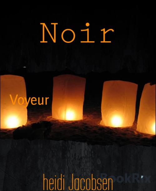 Cover of the book Noir by heidi Jacobsen, BookRix