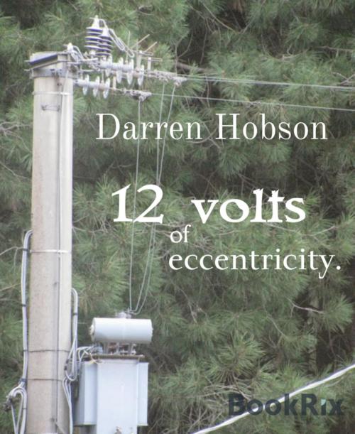 Cover of the book 12 Volts Of Eccentricity by Darren Hobson, BookRix