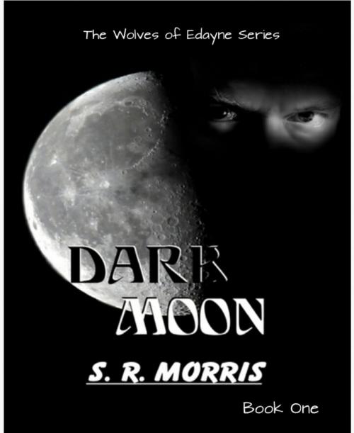 Cover of the book Dark Moon by S.R. Morris, BookRix