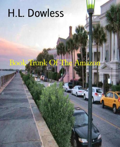 Cover of the book Book Trunk Of The Amazon by H.L. Dowless, BookRix