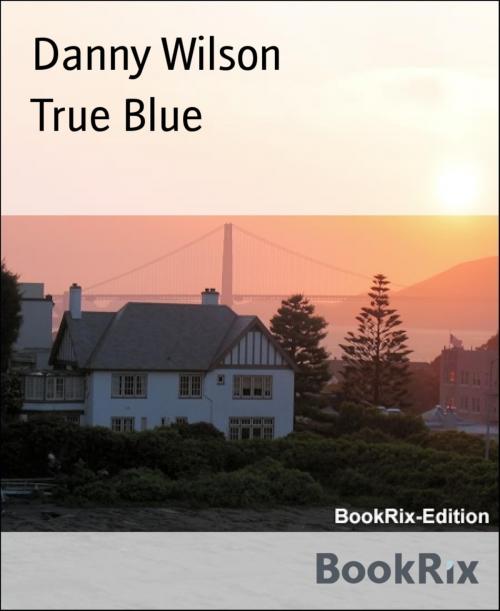 Cover of the book True Blue by Danny Wilson, BookRix