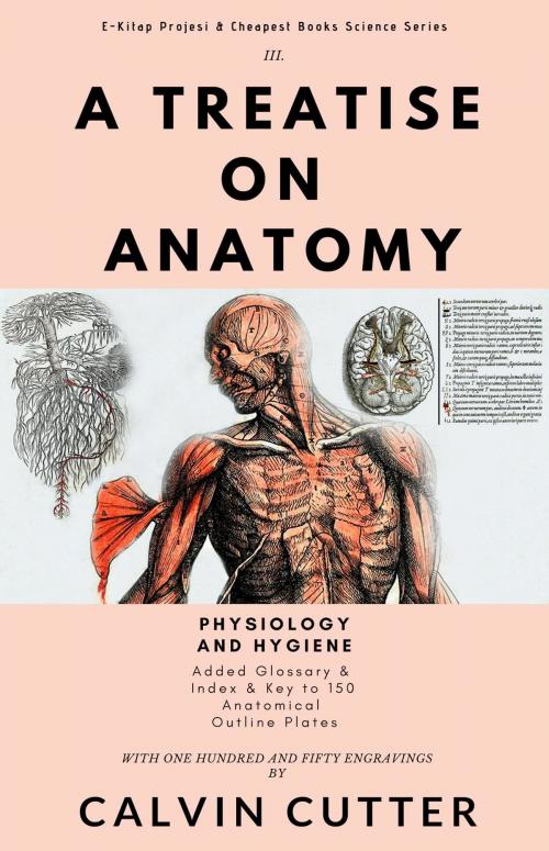 Cover of the book A Treatise on Anatomy by Calvin Cutter, E-Kitap Projesi & Cheapest Books