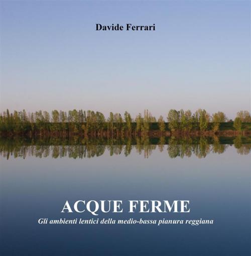 Cover of the book Acque ferme by Davide Ferrari, Youcanprint