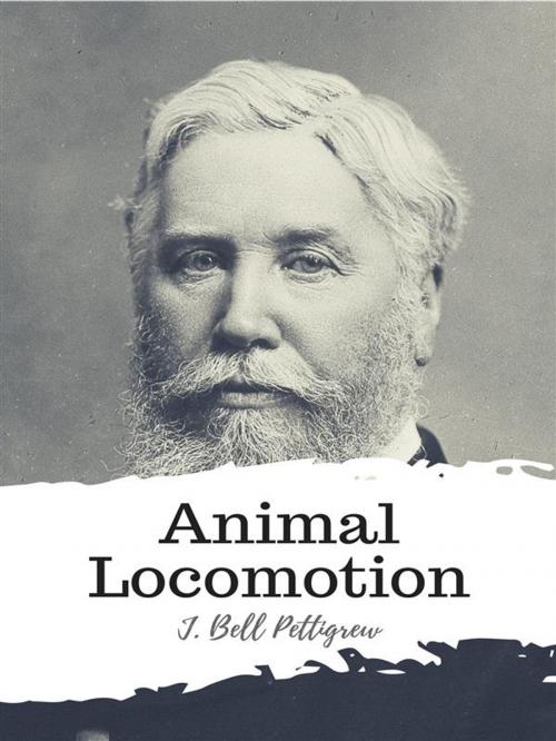 Cover of the book Animal Locomotion by J. Bell Pettigrew, JH