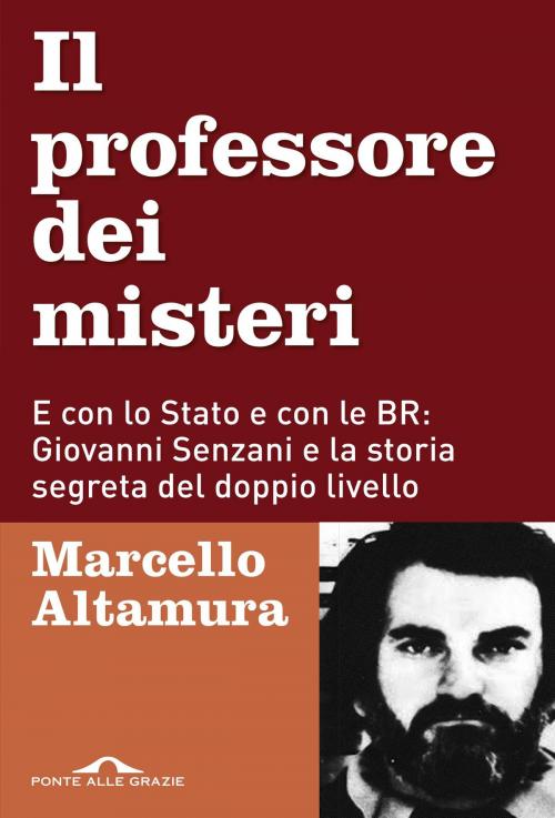 Cover of the book Il professore dei misteri by Marcello Altamura, Ponte alle Grazie
