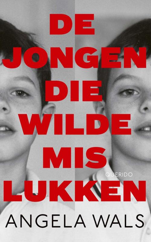 Cover of the book De jongen die wilde mislukken by Angela Wals, Singel Uitgeverijen