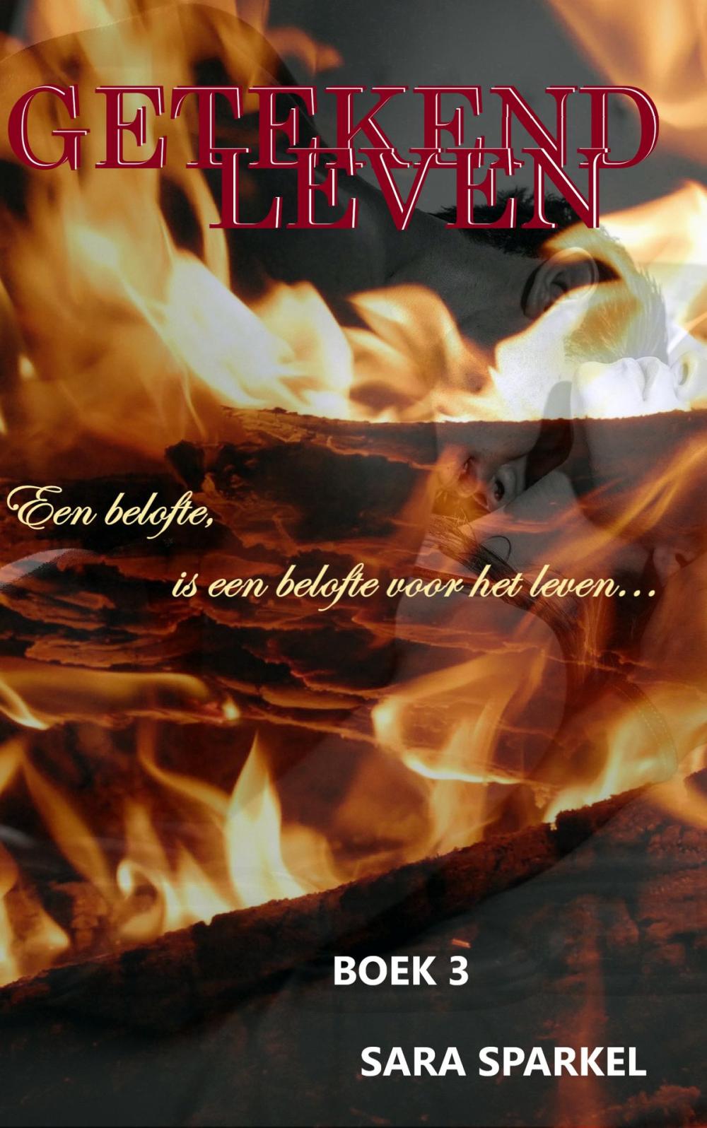 Big bigCover of GETEKEND LEVEN 3