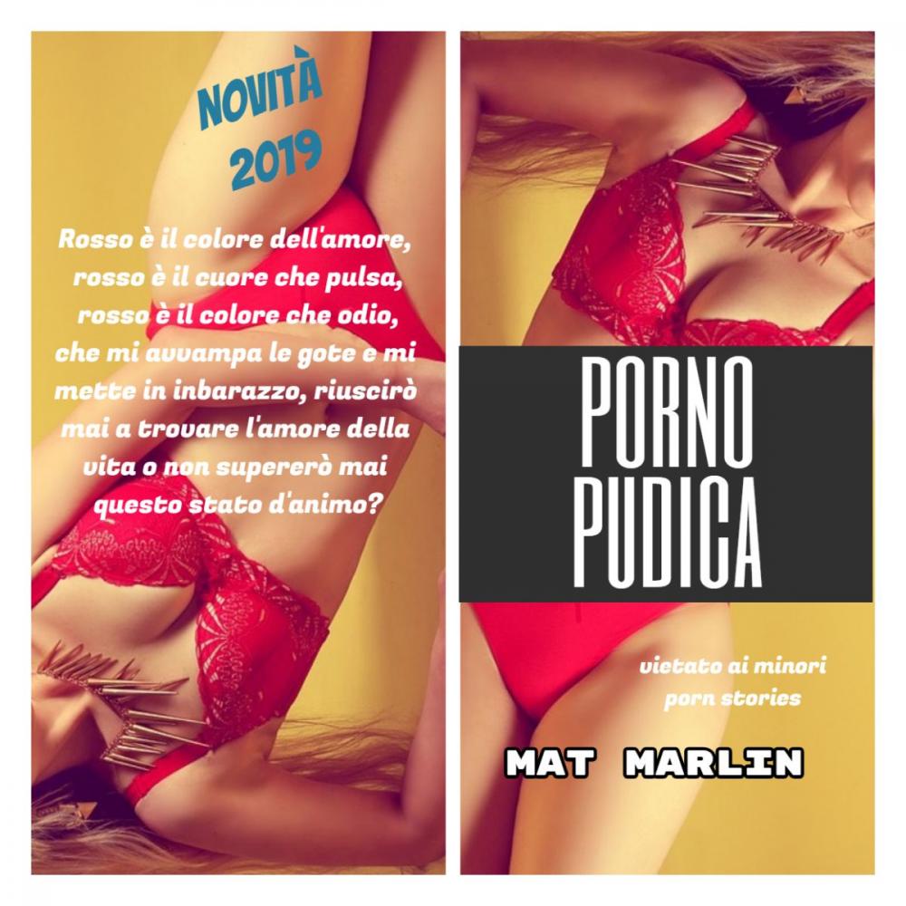 Big bigCover of Porno pudica (porn stories)