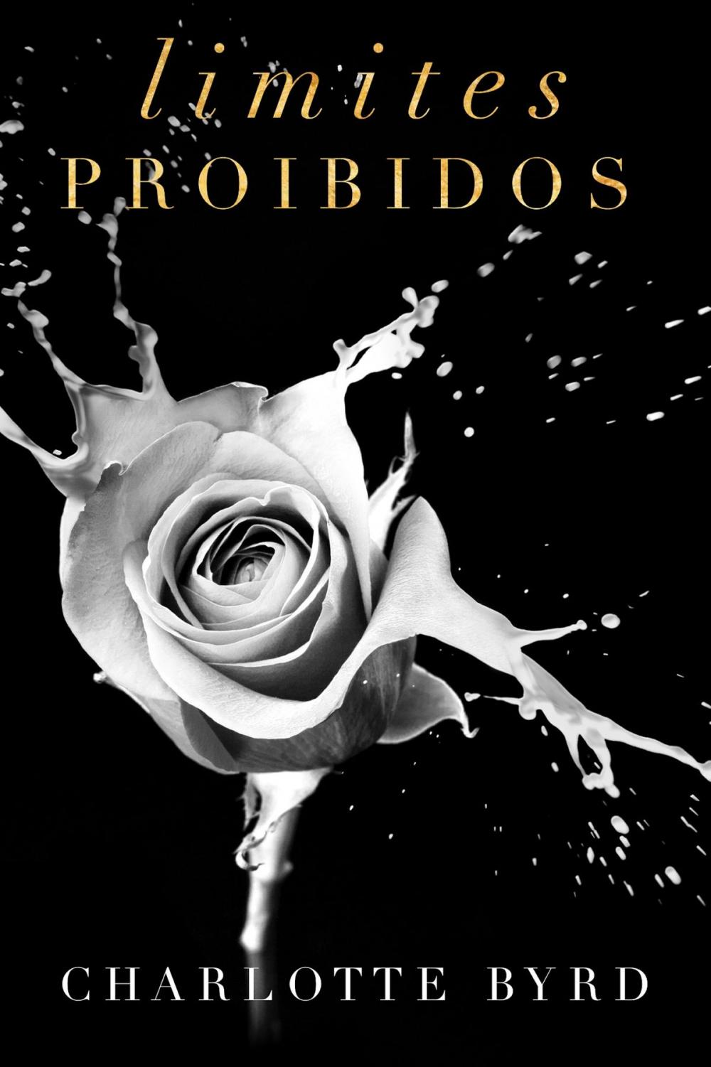 Big bigCover of Limites Proibidos