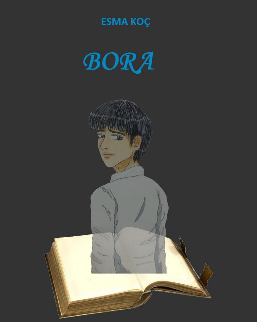 Big bigCover of Bora