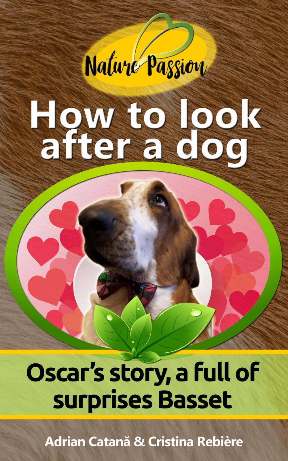 Big bigCover of How to look after a dog