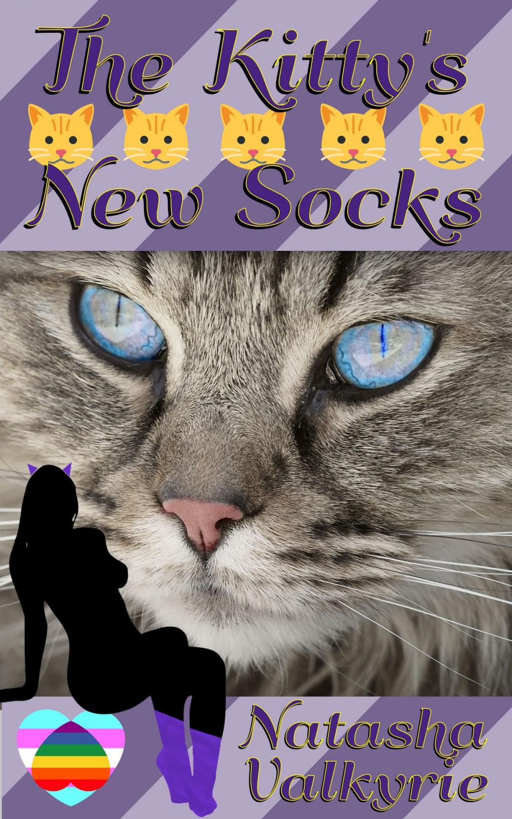 Big bigCover of The Kitty's New Socks