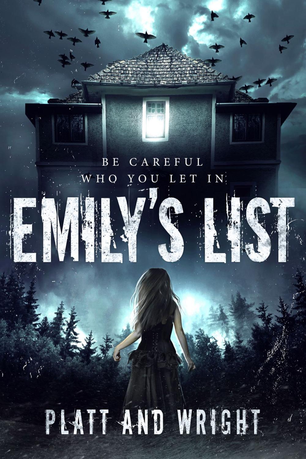 Big bigCover of Emily's List