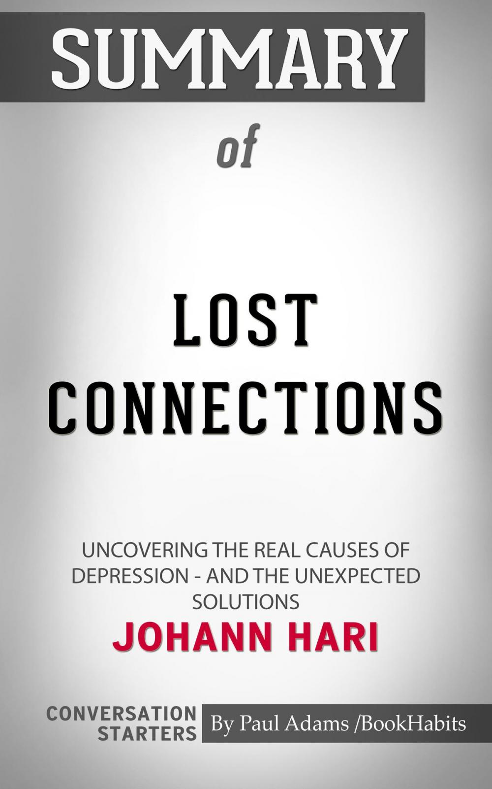 Big bigCover of Summary of Lost Connections