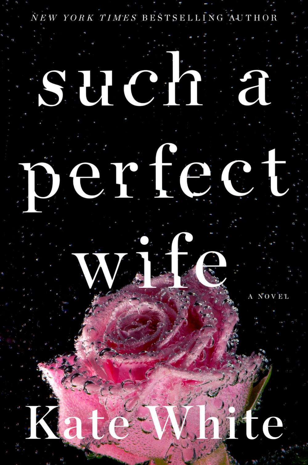 Big bigCover of Such a Perfect Wife