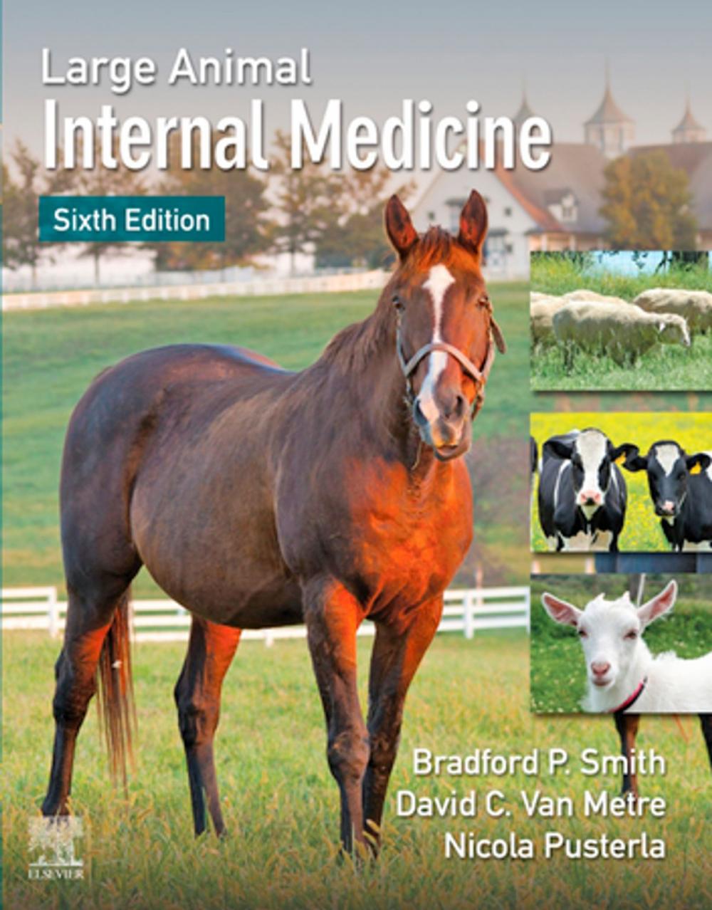 Big bigCover of Large Animal Internal Medicine - E-Book