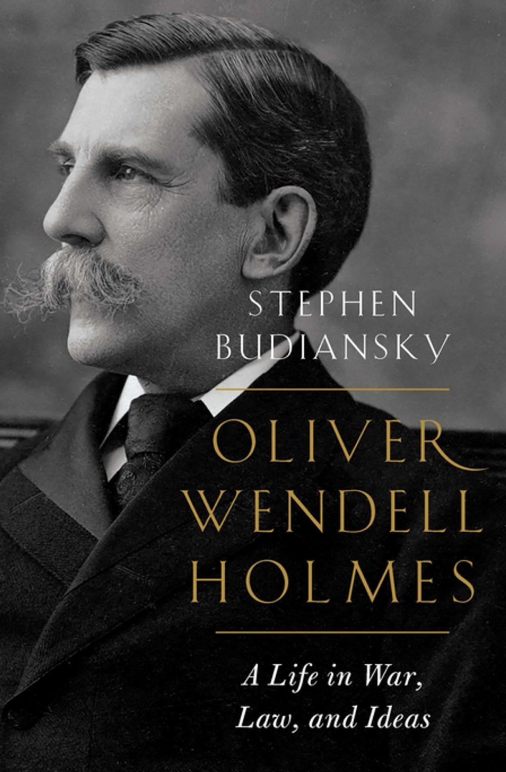 Big bigCover of Oliver Wendell Holmes: A Life in War, Law, and Ideas