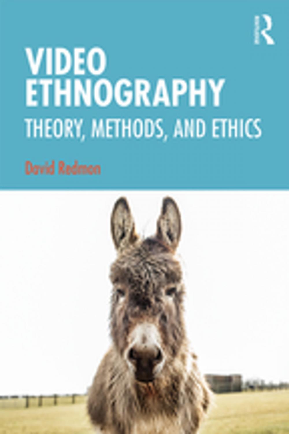 Big bigCover of Video Ethnography