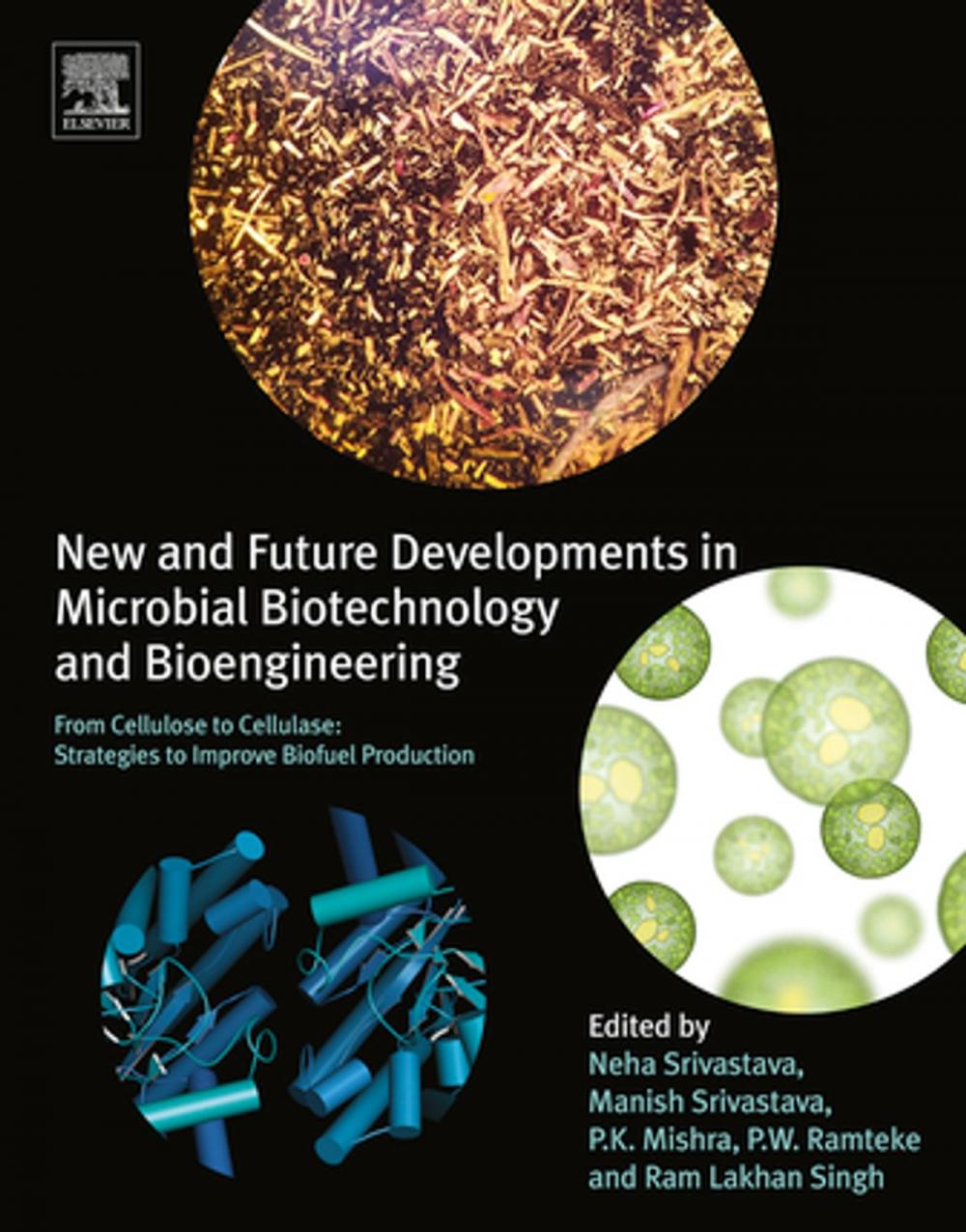 Big bigCover of New and Future Developments in Microbial Biotechnology and Bioengineering