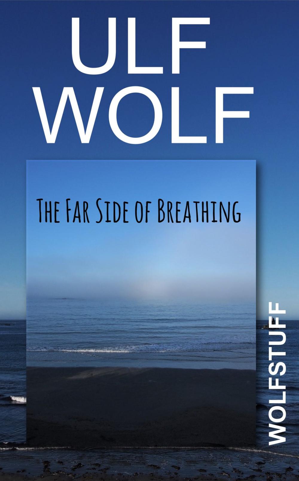 Big bigCover of The Far Side of Breathing