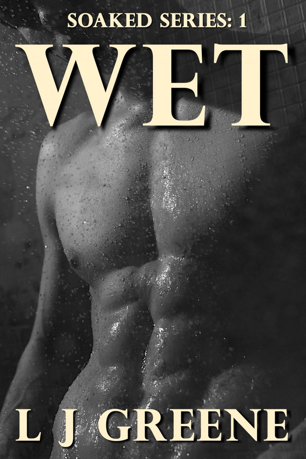 Big bigCover of Wet: Soaked Series 1
