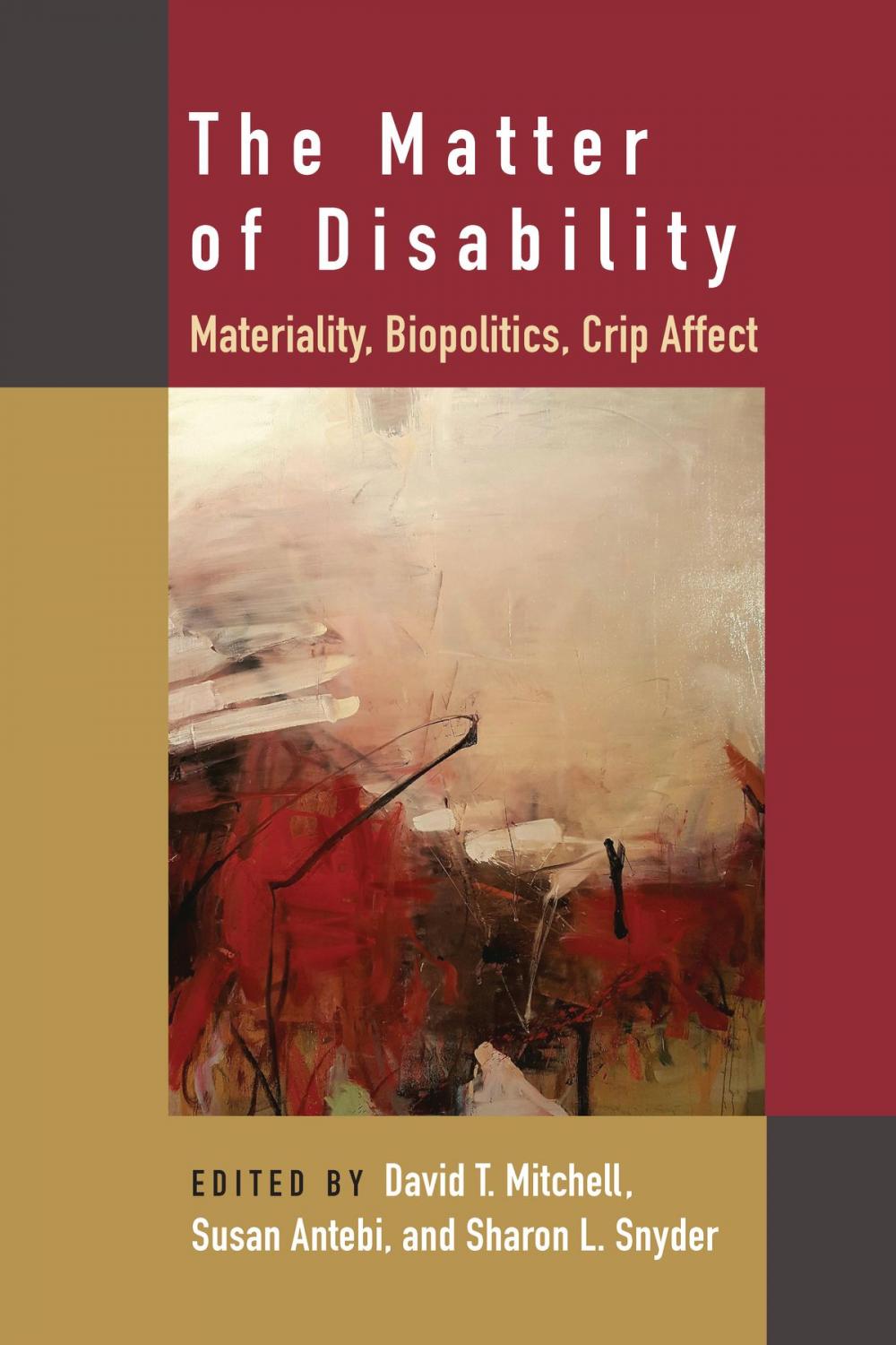 Big bigCover of The Matter of Disability