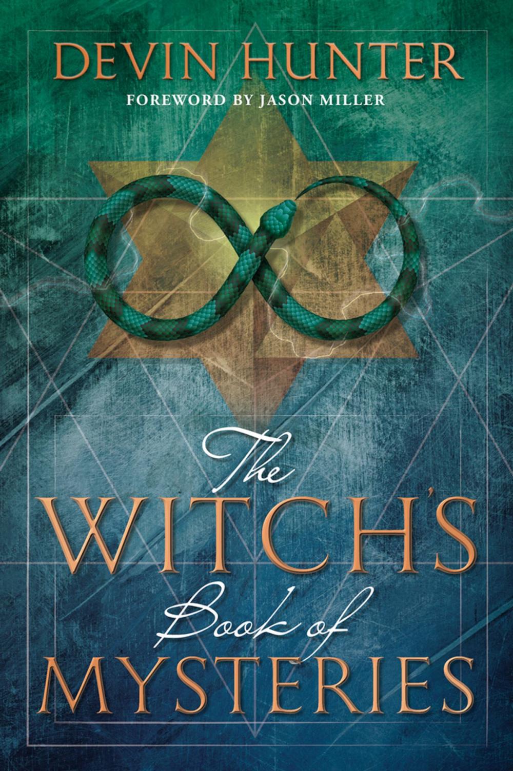 Big bigCover of The Witch's Book of Mysteries