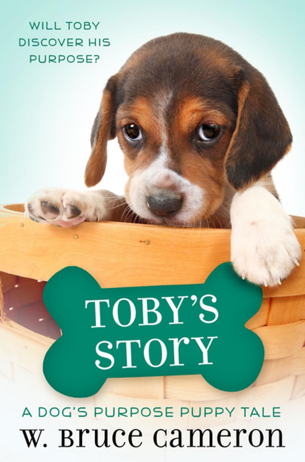 Big bigCover of Toby's Story