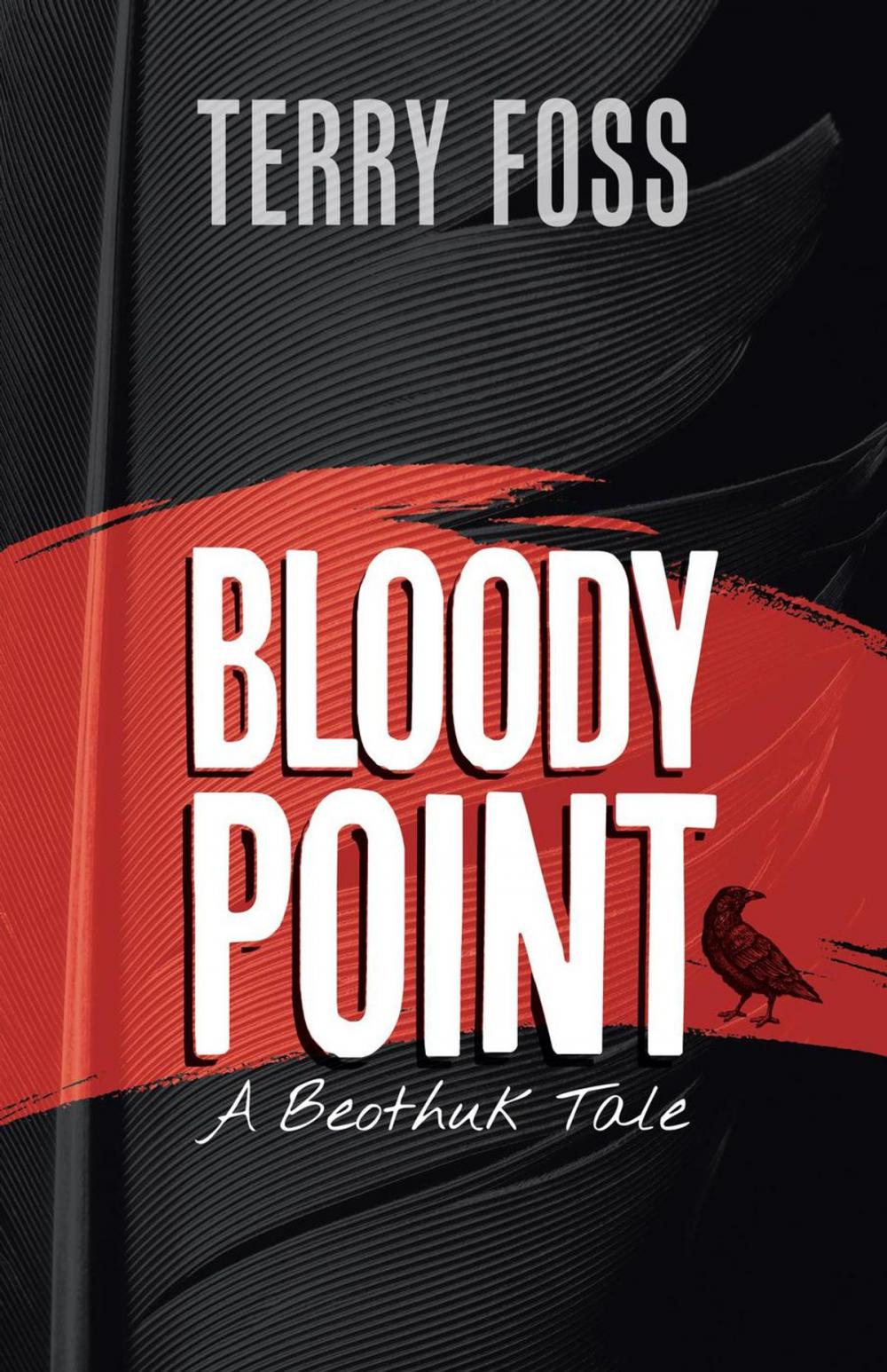 Big bigCover of Bloody Point