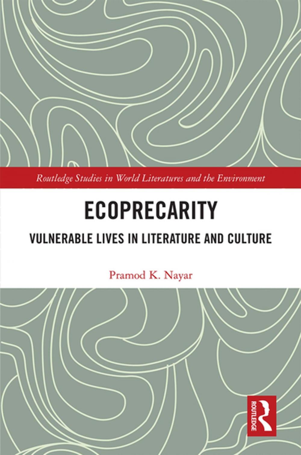 Big bigCover of Ecoprecarity